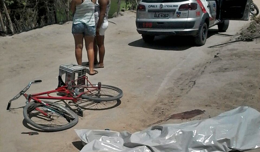 Motociclista morre após colidir com bicicleta na AL 105, em Campo Alegre