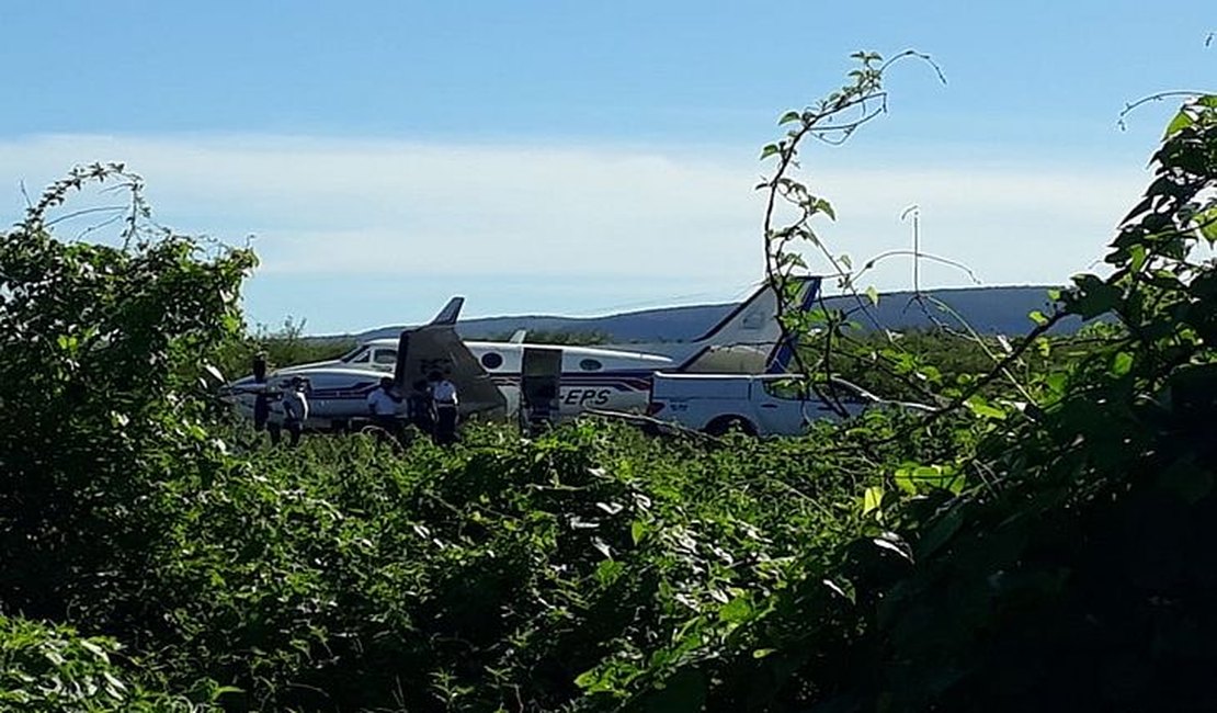 Avião com doses da vacina da Covid-19 bate em jumento que estava em pista de aeródromo