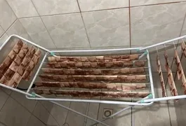 Polícia acha dinheiro 'secando' em varal durante ação contra lavagem