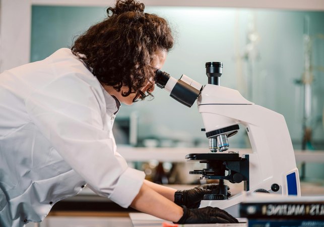 Alagoas ocupa o 1º lugar do País na proporção de alunos com bolsas de mestrado e doutorado