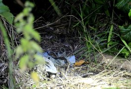 Resultado de exame de DNA confirma que ossada encontrada em Maceió é do menino Kauã