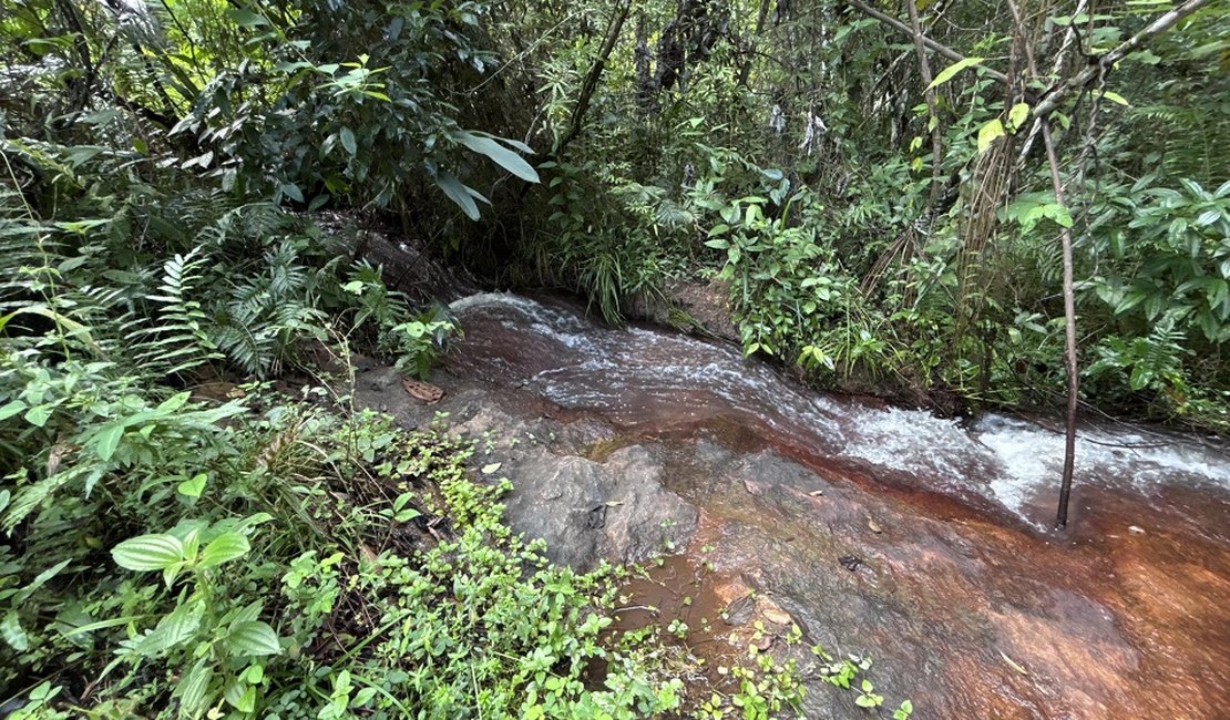 Rota do Cacau amplia ecoturismo e preservação ambiental em Matriz de Camaragibe