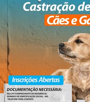 Complexo Tarcizo Freire abre inscrições para castração de cães e gatos