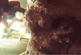 Mulher é presa por tortura após ser filmada agredindo homem de 57 anos