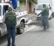 Projeto quer proibir veículos movidos a gasolina ou diesel até 2040