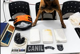 Homem é preso por tráfico de drogas na Baixa da Onça, em Arapiraca; PM apreendeu cocaína