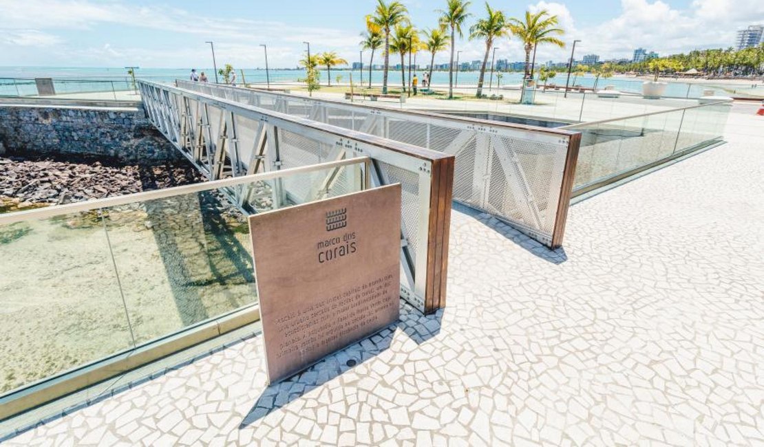 Governo de Alagoas autoriza e Árvore de Natal será montada no Marco dos Corais