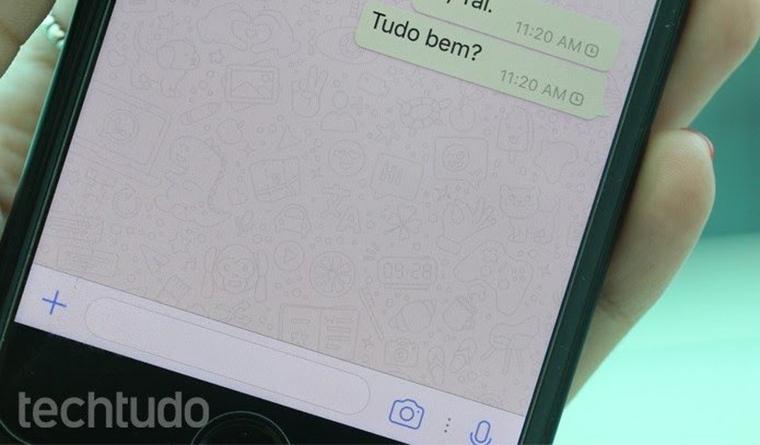 Atualização do Whatsapp permite enviar mensagens sem internet; confira