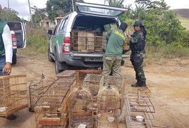 Cerca de 200 animais são resgatados durante operação do IMA em Alagoas