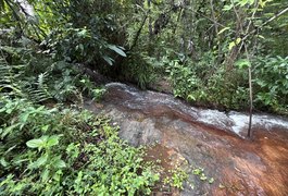Rota do Cacau amplia ecoturismo e preservação ambiental em Matriz de Camaragibe