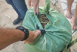 Polícia Militar prende suspeito de homicídio com 25kg de maconha no interior