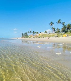 Top 5: conheça as melhores praias de Alagoas