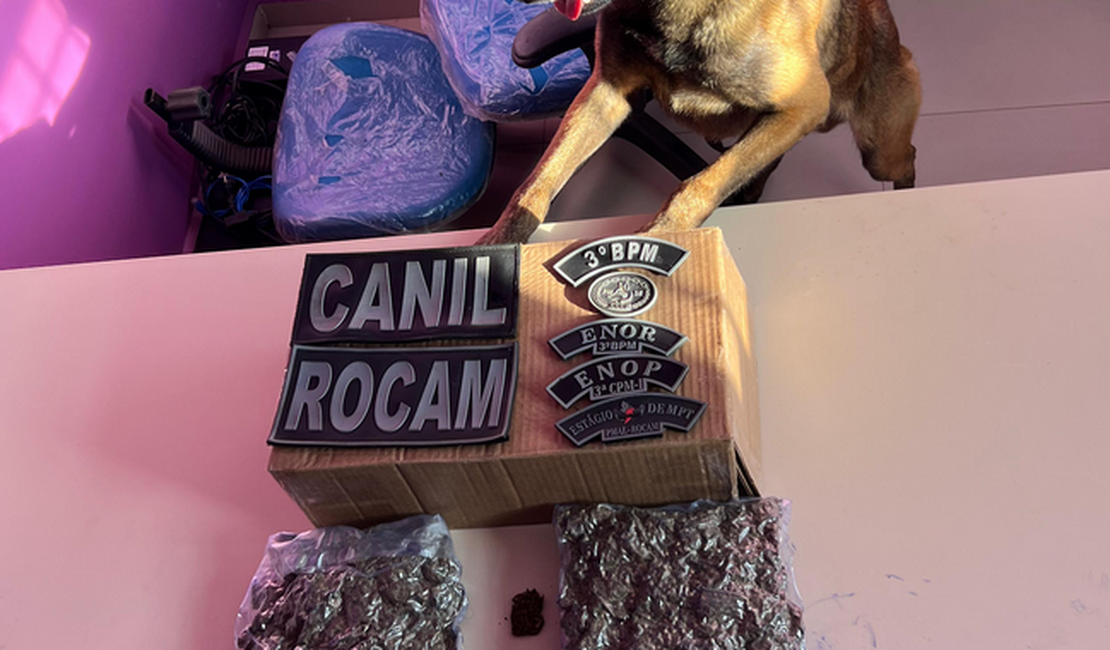 Maconha embalada a vácuo é apreendida em Arapiraca e dois homens são presos; droga veio do Paraná e foi comprada em 'promoção' por R$ 1,7 mil