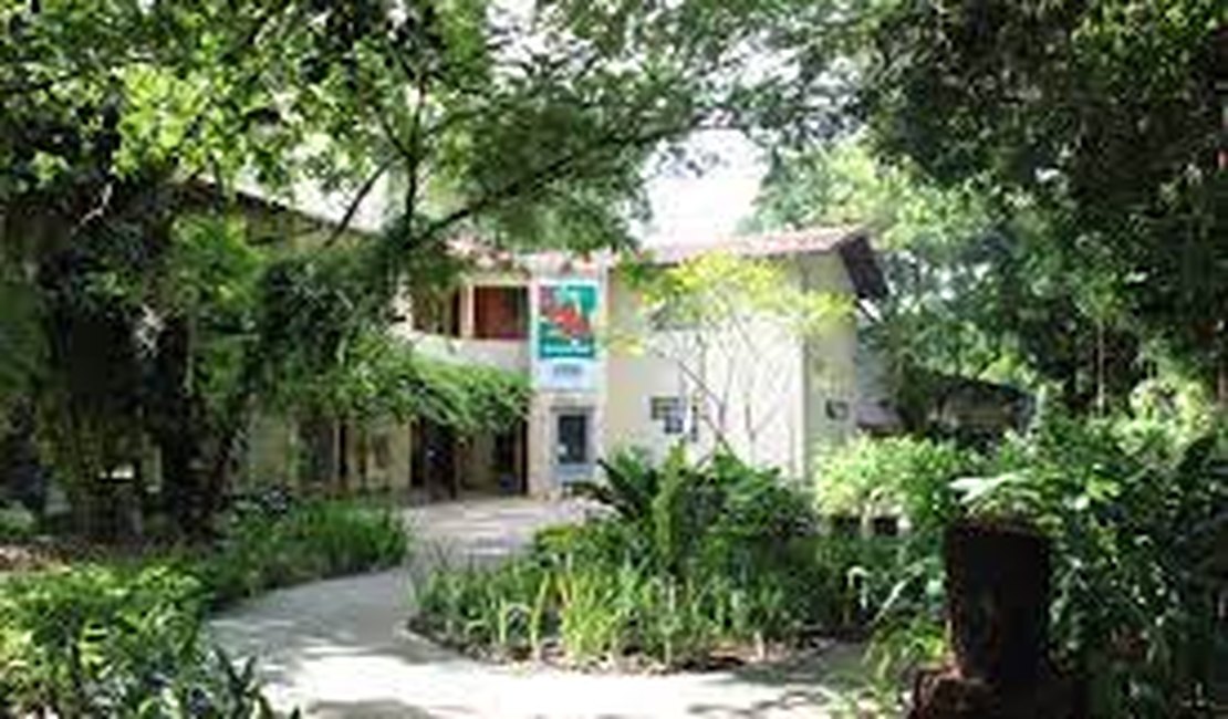 MPF pede que IMA informe adequadamente ao ICMBio sobre licenciamentos na APA Costa dos Corais