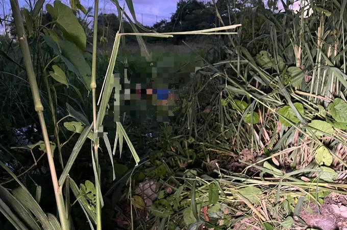 Jovem é morto a tiros na região do Parque das Árvores, na Cidade Universitária