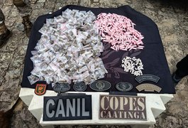 Cadelas Policiais K9 ajudam a apreender drogas no Conjunto Frei Damião, em Arapiraca