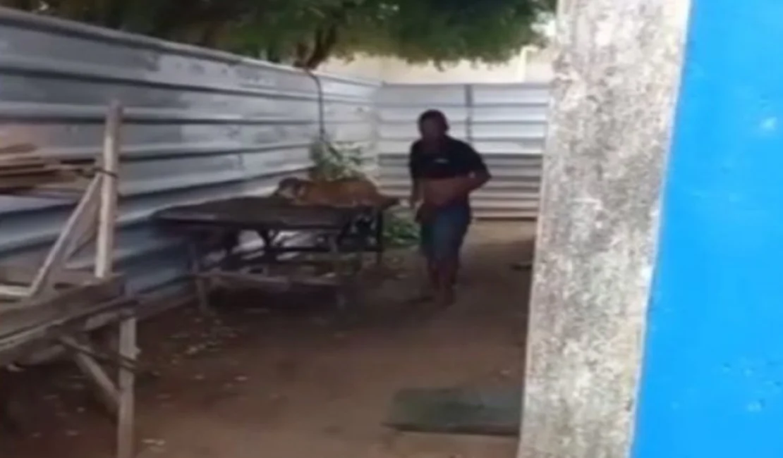 Vídeo onde homem estupra cadela revolta população de Pão de Açúcar