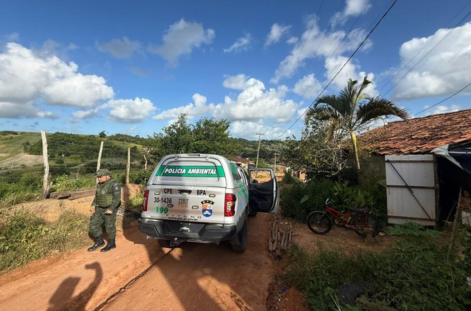 PM apreende nove armas de fogo durante operações integradas do Batalhão Ambiental