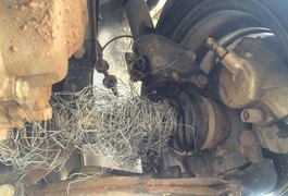 Bandidos colocam arame farpado na Rodovia AL 485 e dois jovens ficam feridos após queda de moto