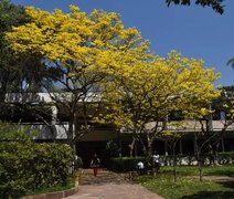 Colégio de elite de SP suspende 34 alunos acusados de fazer bullying contra colegas em grupos de WhatsApp