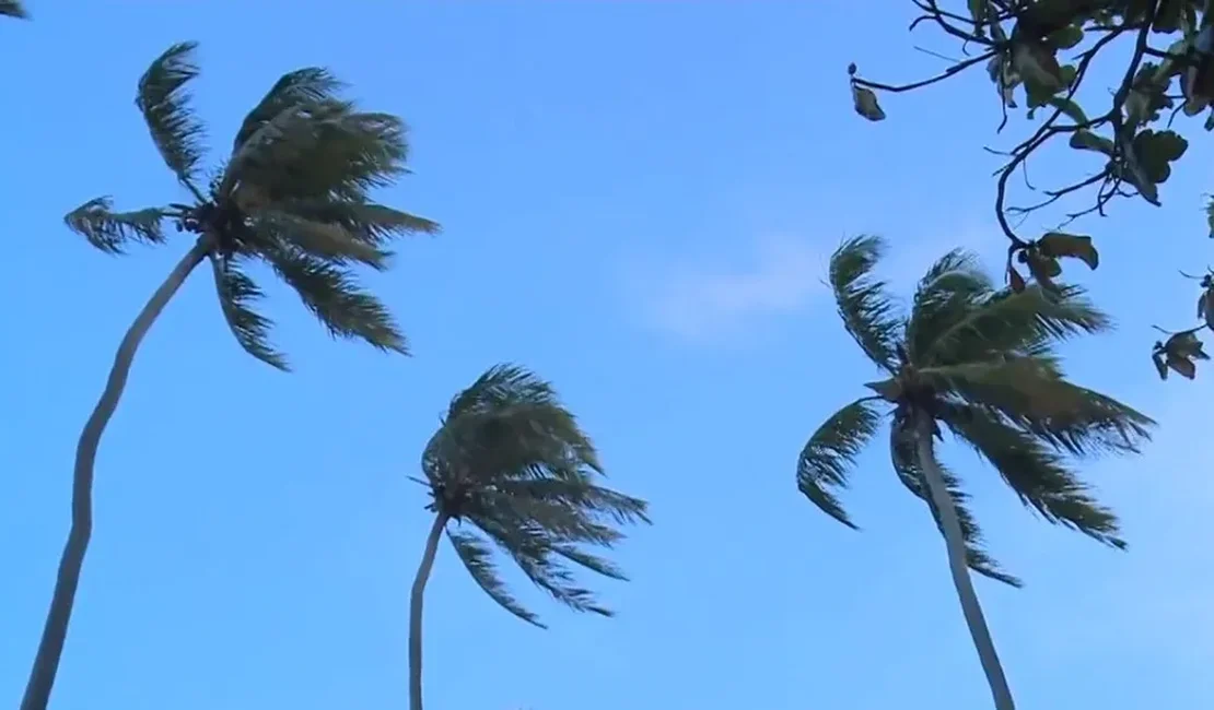Semarh emite alerta por causa de fortes rajadas de vento que atingem Alagoas até sexta-feira