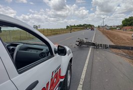 Vídeo. Máquina de terraplanagem derruba poste na AL 110, em Arapiraca