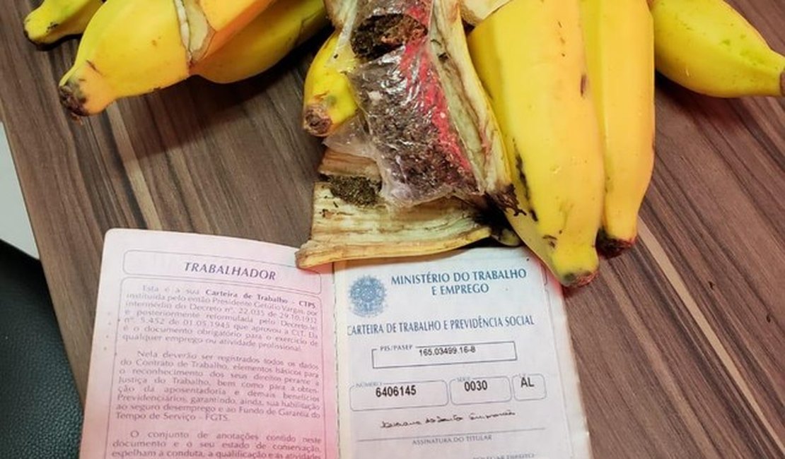 Mulher é presa com maconha escondida em cacho de banana no sistema prisional de Maceió
