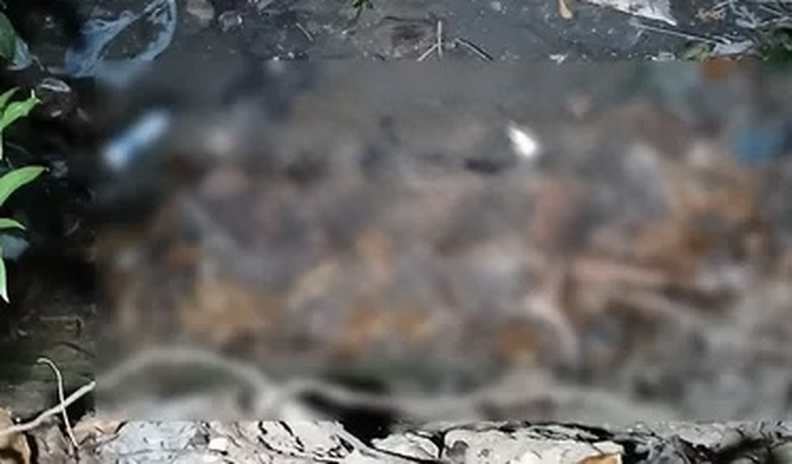 Corpo de homem é encontrado em área de mata em grota de Maceió