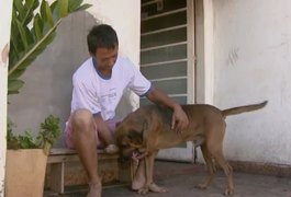 Cão salva rapaz em incêndio que destruiu casa em Matão, SP