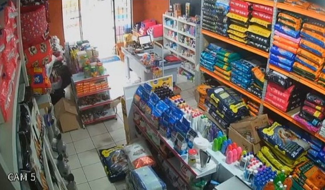Vídeo: Cachorro aproveita distração de funcionários, entra em pet shop e 'furta' petisco