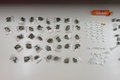 Polícia Militar apreende maconha, crack e cocaína e prende suspeito em Taquarana