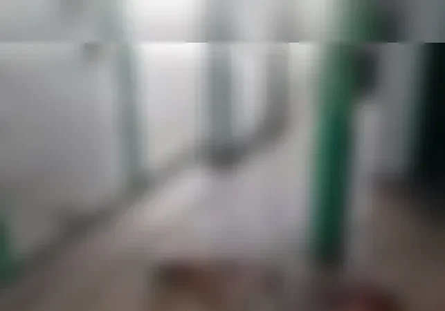 Idosa é presa após esfaquear mulher durante briga em terminal de ônibus de Maceió