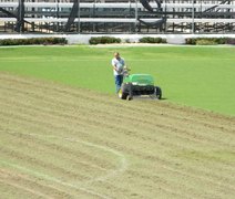 Diretoria contrata empresa para recuperar gramado do Fumeirão