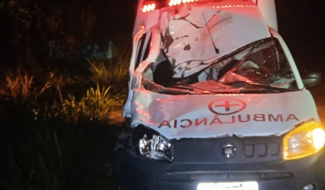 Colisão de ambulância em cavalos deixa dois feridos no interior alagoano