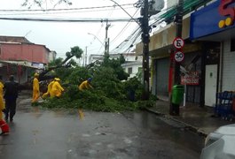 Nordeste terá chuvas volumosas de amanhã até sexta-feira, alerta Inmet