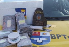 Mulher é presa por tráfico após PM localizar 5 kg de maconha em residência