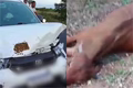 Filho de cantor Neto Araújo, ex-Cavalheiros do Forró sofre acidente a caminho do velório do pai