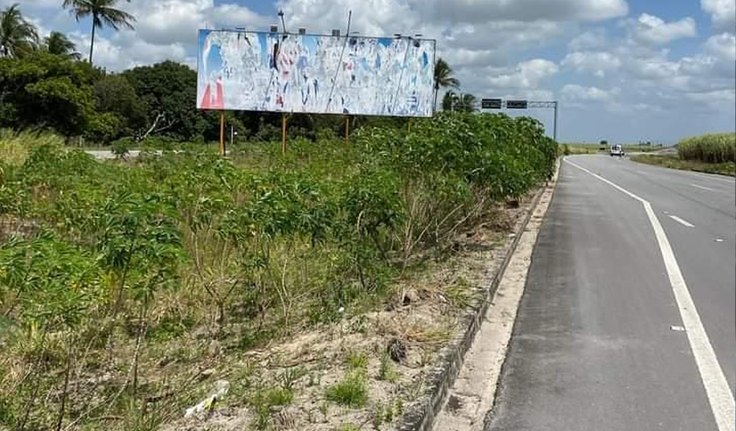 Justiça Eleitoral manda Pauline tirar outdoors com propaganda ilegal em Campo Alegre