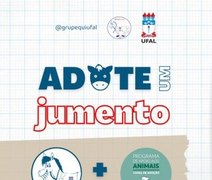 Projeto lança campanha de adoção de jumentos que seriam abatidos