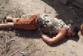 Homem é assassinado a tiros na porta de casa, no interior de Alagoas
