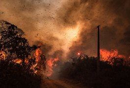 Governo federal confirma ajuda no combate a incêndios no Pantanal