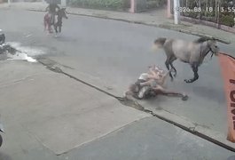 Casal cai de cavalo em alta velocidade na Rua Expedicionários Brasileiros, em Arapiraca