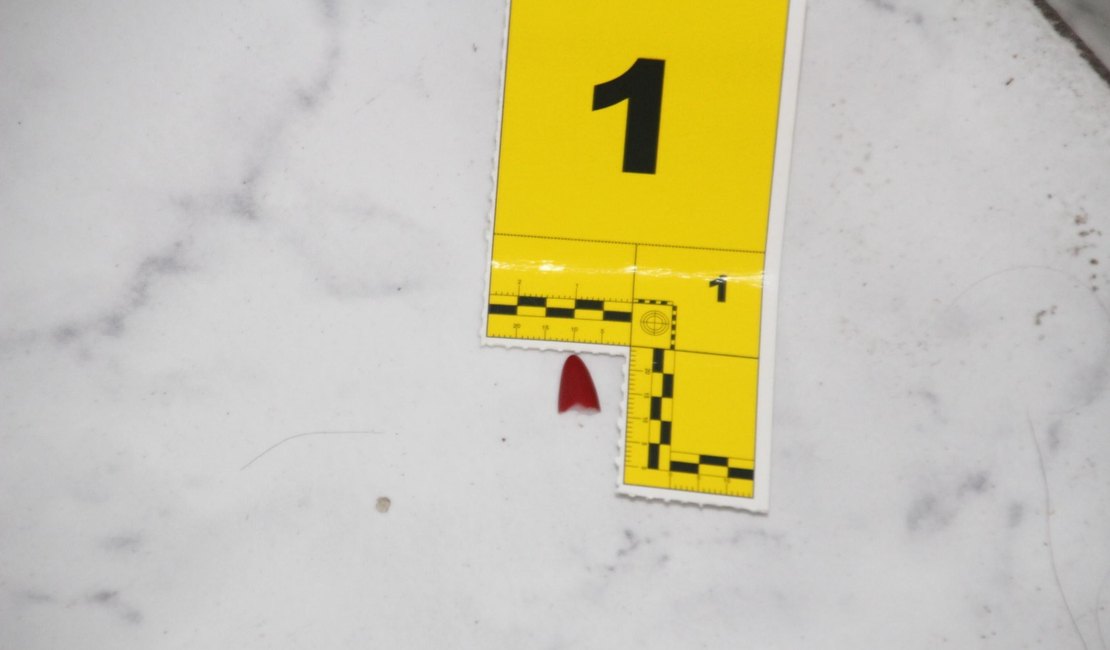 Entenda como o trabalho da Polícia Científica ajudou a desvendar um feminicídio no Trapiche da Barra