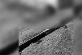 Polícia identifica os dois adolescentes, de 16 e 17 anos, assassinados a tiros em Maribondo