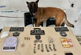 Com auxílio de cão farejador, PM prende homem em ponto de drogas em Arapiraca