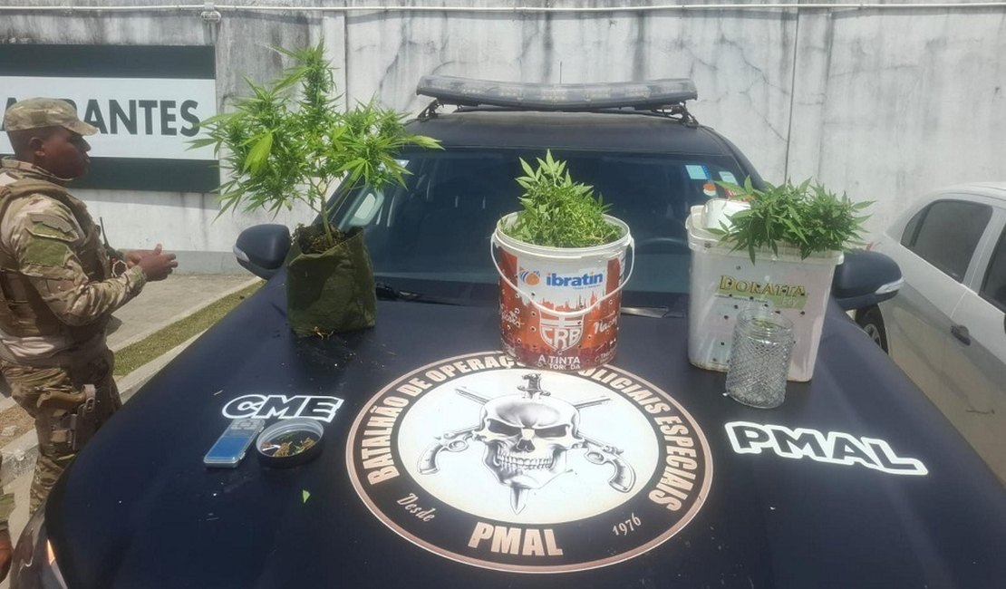 Polícia Militar apreende 5kg de drogas e descobre plantação de maconha em Maceió