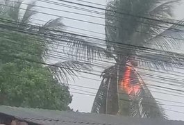 Raio atinge coqueiro e provoca incêndio durante fortes chuvas, em Arapiraca