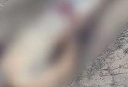Corpo com marcas de tiros e mãos amarradas é encontrado no interior de Alagoas