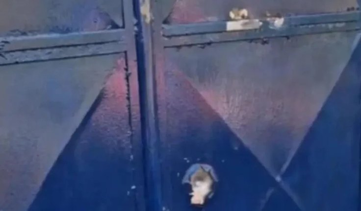 Escola indígena é alvo de tiros em Palmeira dos Índios em meio a tensão sobre demarcação das terras Xukuru-Kariri