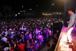 Multidão celebra a chegada de 2016 no Bosque das Arapiracas